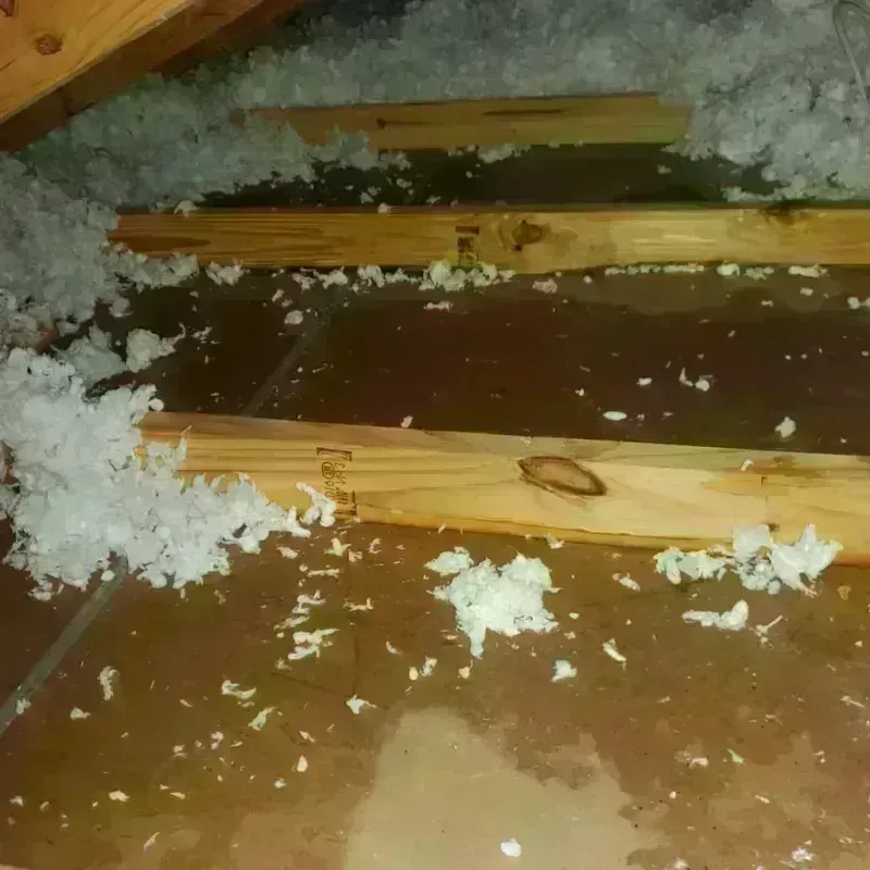 Attic Water Damage in Mulberry, AR