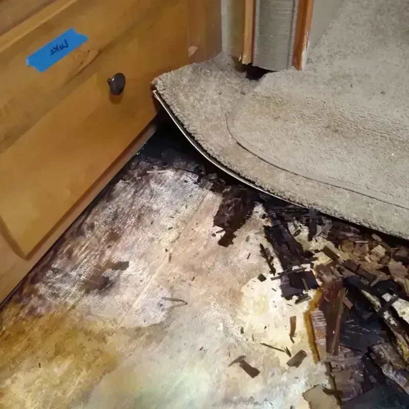 Best Wood Floor Water Damage Service in Mulberry, AR